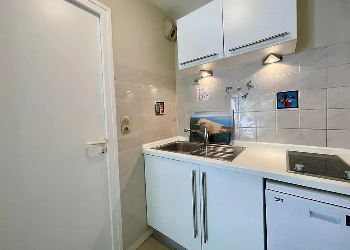 T2 Avec Grande Terrasse Sans Vis A Vis, Parking Privatif, A 100m Des Plages - Fr-1-420-47 Daire